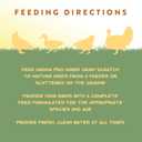 Manna Pro Ultimate Chicken Scratch Feed, Nutrient-Rich Scratch Grain Treat for Chickens and Poultry, Natural Multigrain Blend for Backyard Flocks and Laying Hens, Made in USA, 10 lb Bag