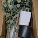 Artificial Eucalyptus Tree,6Ft Tall Fake Potted Tree Silk Faux Eucalyptus Tree with Plastic Nursery Pot, Artificial Plants for Home Office Indoor Decor (2in)