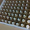 PrettyCare Glass Eye Dropper Bottles 99 Pack, 1oz (30ml) Rainbow Empty Thick Bottles Bulk with Leakproof Golden Caps - With Labels & Funnels for Storage, Travel, Essential Oils, Cuticle, Tinctures