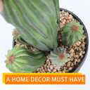 Artificial Cactus Fake Cacti 16" Faux Potted Cactus Plants for Home Store Office Decoration