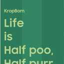 125 Count Cat Poop Bags with Handles, Disposable Litter Bags for Pet Poop, Extra-Thick Kitty Cat Waste Bags Easy Tie Leak-Proof Strengthen Unscented (Made of 70% Recycled Plastic)