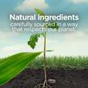 Botanica by Air Wick Plug in Scented Oil Refill, 10ct, Himalayan Magnolia and Vanilla, Air Freshener, Eco Friendly, Essential Oils