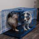 Internet's Best Wire Dog Kennel | Medium (36 Inches) | Double Door Metal Steel Crates | Indoor Outdoor Pet Home | Folding and Collapsible Cage | Blue 36.0"L x 22.5"W x 24.0"H