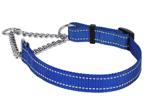 CollarDirect Martingale Dog Collar Training Adjustable Stainless Steel Chain Reflective Nylon Pet Collars for Medium Large Dogs (M, Neck Fit 14"-20")