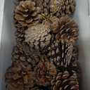 24 PCS Natural Pine Cones, 1.96 in Pinecone Ornaments, Rustic Pine Cones for Crafts, Winter Decorations for Home, Bulk Pines Cone with Gold String for Christmas Table Decor DIY Christmas Ornaments