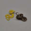 Fake Snake 2Pcs 2 Style Curl-Up Realistic Snake That Look Real Long Lasting PVC Toy for Prank, Backdrop, Halloween