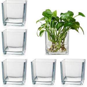 Set of 6 Square Glass Vases for Centerpieces 4" x 4" x 4" Clear Short Vases, Flower Vase, Plant Terrariums, or Candle Holders for Wedding Centerpieces, Office Decor, Home Dcor, Parties