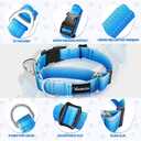 Arblina Martingale Collar for Dogs Large  Heavy Duty Buckle Dog Collar with Tag Ring Reflective Nylon Gradient Dog Collar No Pull Training Collar, L