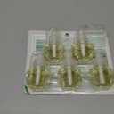 Air Wick Scented Oils 0+5 Paradise Retreat