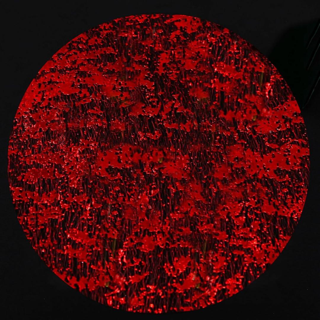 Red Disposable Placemats Set of 50 Red Charger Plates Doilies Metallic Thin Mesh Round 13 Inch Glitter Foil Pressed Dining Table Decoration Centerpieces for Party Wedding Birthday