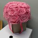 27 Preserved Roses in Round Dome Shape, Mother's Day Real Forever Flowers Rose Box, Eternal Rose Gift for Her Women Girl Friend Wife, Flower Gift for Valentines Day(Pink)