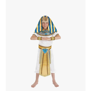fun shack King Tut Costume Kids, Egyptian Costumes for Boys, Pharaoh Costume Kids, Boys Halloween Costumes XL