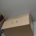 6x9 Dining Room Rugs for Under Table, Washable Carpet Living Room, Dark Brown Low Plie Woodland Soft Bedroom Carpet, Non Slip Floral Funky Dark Academia Rug