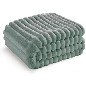 Bedsure Green Throw Blanket for Couch - GentleSoft Cozy Soft Blankets for Women, Cute Small Fleece Throws for Girls, Sage Green Room Decor Decorations for Home, 50x60 Inches