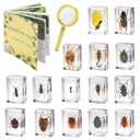 15 Insect specimens,Real Specimens of Various Butterflies and Beetles Made of Resin, Used for Science Classroom Science Education Animal Specimens, Bug Preserved,Oddities, Biology (15 Pcs Beetles)