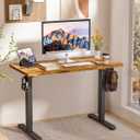 BIZUM Standing Desk Electric Adjustable Computer Desk-Stand up Desk Office Gaming Home Office Memory Desks 48x24 inches Black Frame/Rustic Brown Top, 47.2*23.6 Inch