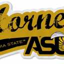 NCAA Rico Industries Shape Cut Pennant Shape Cut Pennant - Home and Living Room Dcor - Soft Felt EZ to Hang (Distressed)