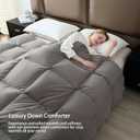 Luxury Down and Down Fiber Comforter, Medium Warmth All Season Duvet Insert, Ultra-Soft 750 Fill - Power Hotel Collection Comforter, Fluffy and Cozy - King 106 X 90