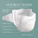 Pampers Amore, Size 2 (10-22 lbs), 186 Count, Our Best Diaper Hypoallergenic & Fragrance Free, Up to 100% Leakproof, Soft as Cashmere