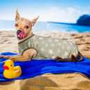 Lightweight Breathable Dog Cooling Shirts, Quick Dry Dog Sunscreen T-Shirt, Professional Pet Summer Vest for Small Medium Large Girl Boy Dogs