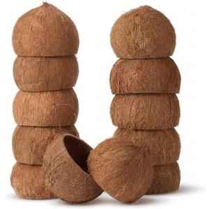 LemonRoad 12 Pcs Natural Coconut Shell Bowls 3.94-5.12" Coconut Shells Halves Wooden Bowls Rustic Kitchen Decoration Suitable for Salad Dessert Party Tableware Event Handicraft Aromatherapy (Hairy)