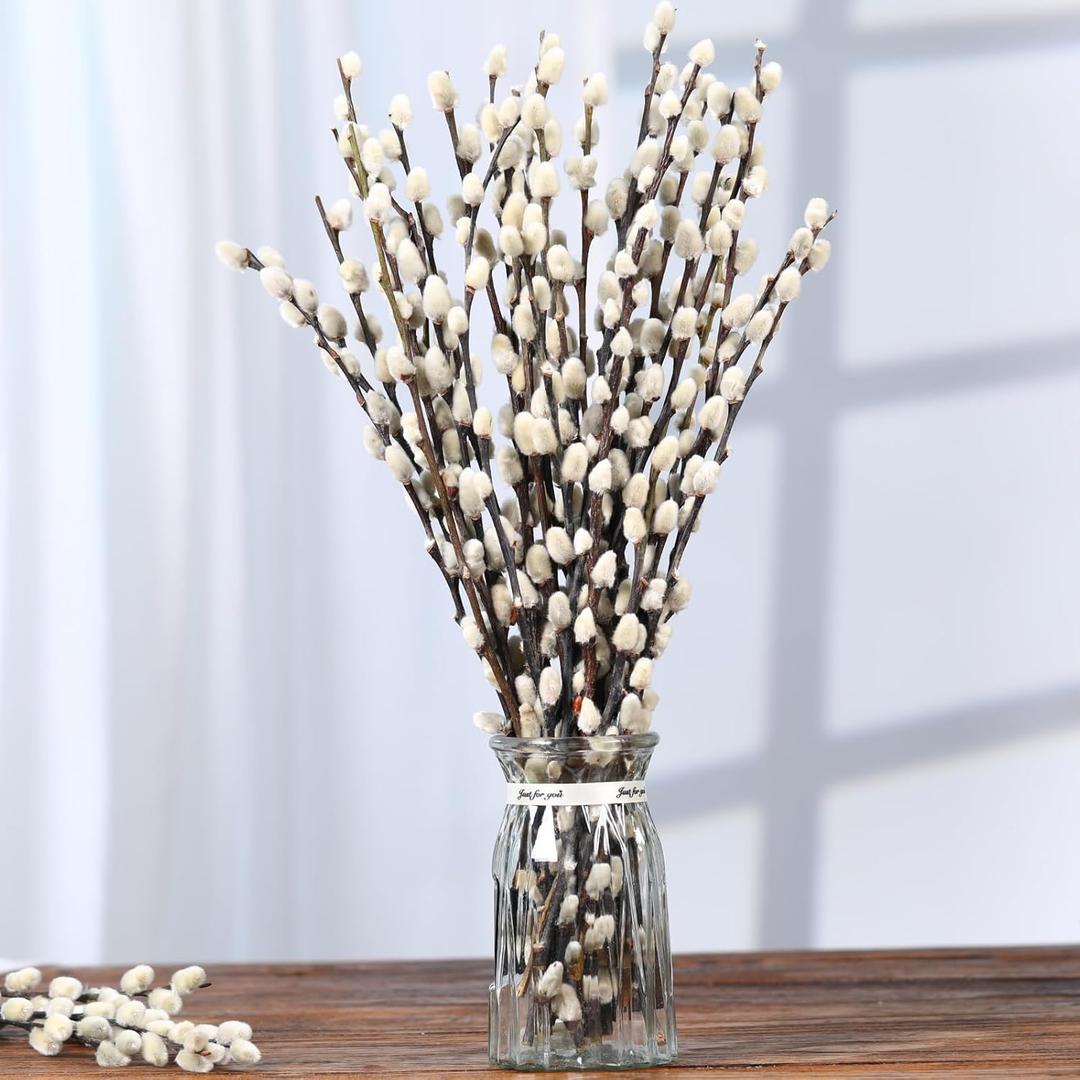 Natural Preserved Dried PussyWillow Branches for Vases, 30 Stems Real Willows, 17" Snow Pussywillows, Dried Flowers for Indoor and Outdoor Decor, Wedding Home DIY Floral Art Plants Fireplace