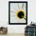 17x21 inch Satin Black Picture Frame with 2 Inch Single Porcelain Mat, 2 Pack