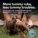 ZIWI Peak Steam & Dried Dog Food - Cage-Free Chicken w/Fruits - High Protein, Low Carb, All Breeds & Lifestages, for Digestive Health (28.8oz) (1.8 Pound (Pack of 1))