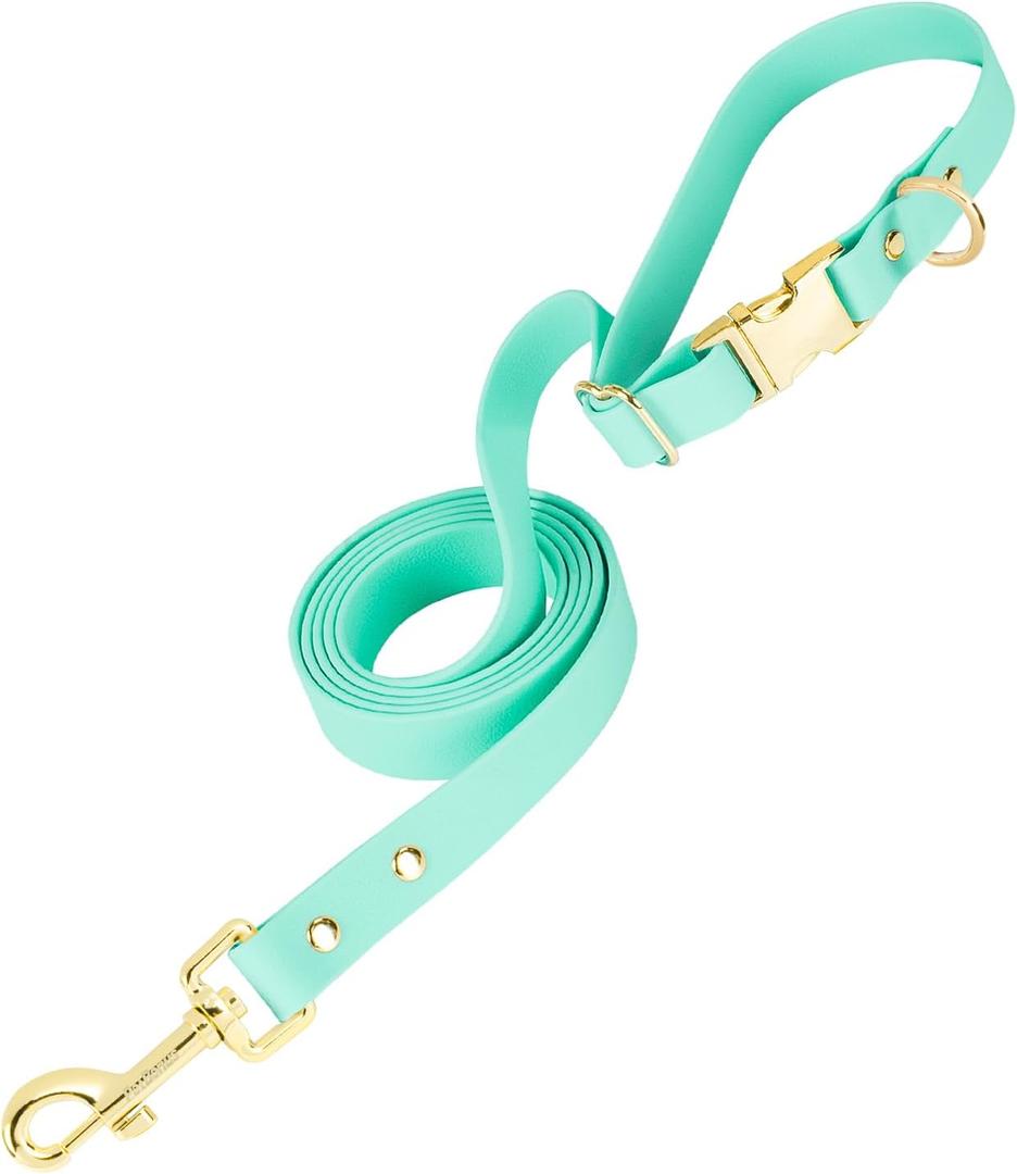 PetBonus Waterproof Dog Leash, 5 FT Odor Proof Walking Training Lead for Small Medium Dog, Adjustable Handle with Side Release Buckle (M, Mint Green) (Medium (Up to 90 lbs))