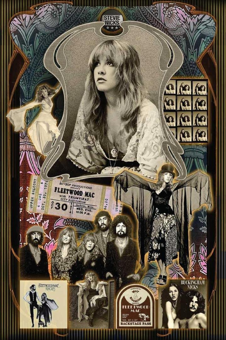 BUY ART FOR LESS Officially Licensed Stevie Nicks FM Collage 24 x 36 Inch Art Poster - Decorative Print - Poster Paper - Ready to Frame