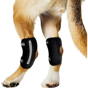 Dog Knee Brace for Rear Leg Torn ACL, Canine Rear Hock Joint Support, Joint Injury and Sprain Protection, Removable Design, Comes with 2 Spring Bars and 2 Steel Bars (M Pair)