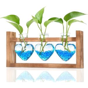 2+1 Plant Terrarium Plant Propagation Station Gifts for Father Halloween Skull Home Office Decor with Wooden Stand
