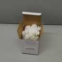 Tioncy 12 Pack Christmas Snowflake Sponges Bulk Dual Sided Scrubber Christmas Kitchen Sponges Dishwashing Non Scratch for Kitchen Accessories Dish Scouring (White)