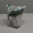 Essential Oil Diffuser, 150 ml Aromatherapy Diffuser, Green Leaf Diffuser for Essential Oils, Oil Diffuser for Bedroom Home Office, Waterless Auto Shut-Off, Super Quiet