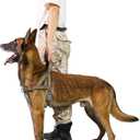 No Pull Dog Harness, Reflective Puppy Harness with Soft Padded Handle, Escape Proof/Quick Fit Adjustable Pet Harness for Small Medium Large Dogs, Easy for Training Walking (Yellow, M)