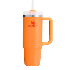 STANLEY Quencher H2.0 FlowState Stainless Steel (14 Ounces, Alpine)