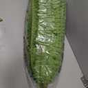 FOREST PRINCE 50" Artificial Boston Ferns, Fake Bush Plants, Large Faux Ferns with 96 Fronds for Outdoors Home Decor