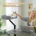 PAWZ Road Cat Desk Bed for Indoor Cats, Cat Bed for Desk Supports Up to 50 lbs, 360 Rotation & Adjustable, Nest Desktop Attachment Cats Hammock for Table, Gray
