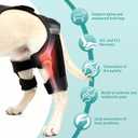 Dog Knee Braces for Torn ACL Hind Leg, Adjustable Dog Leg Braces for Back Leg with 4 Stabilizers for Luxating Patella Relieves Ligament Injury and Joint Pains M