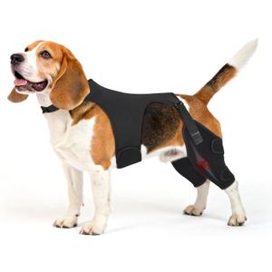 Dog Knee Brace for Torn ACL Hind Leg, Medium