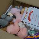 Adopt a Dog Party Favors Set - 12 PCS Plush Stuffed Puppies with Party hats include Paper House, fence, Adoption Cards, DIY Collars, House Decor and Check-up Accessories for Puppy Party Birthday