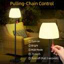 Qnkaa Outdoor Floor Lamp Solar Outdoor Lamps for Patio Waterproof Shower Lamp,LED Cordless Floor Lamp with Light Sensor,Rechargeable Dimmable Floor Lamp Warm White+RGB Solar Lamp for for Garden