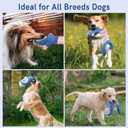 Dog Squeak Toys Interactive Pet Toy with Crinkle Paper Pull Chew Toys for Small Medium Large DogsBlue