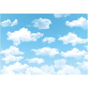 Allenjoy 7x5ft Vinyl Blue Sky White Cloud Backdrop - Not Fabric - Ideal for Newborn, Spring, Kids, Children, Aviator, Birthday Party, Baby Shower, World Travel Background
