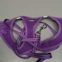 rabbitgoo Dog Harness Small Sized and Leash Set, Step in Soft Light Puppy Vest, Breathable Mesh Pet Harness, Reflective for Safe Outdoor Walking, Purple S (S (Chest: 15.1 - 16.5"))