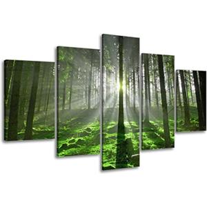 5 Panel Forest Wall Art for Office Decor, SZ Fantastic Spring Morning Sunrise Picture Canvas Prints of Nice Sunshine Peeking Through Rainforest (Waterproof Artwork, 1" Thick, Bracket Mounted, Large) (32x60 overall by 5 piece, 1" Deep, Bracket Mounted) 5 Panel Forest Wall Art for Office Decor, SZ Fantastic Spring Morning Sunrise Picture Canvas Prints of Nice Sunshine Peeking Through Rainforest (Waterproof Artwork, 1" Thick, Bracket Mounted, Large) (32x60 overall by 5 piece, 1" Deep, Bracket Mounted)