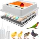 Incubators for Hatching Eggs - 36 pcs | Incubator with Automatic Turning and Humidity Control - Integrated Egg Candler - Okkobi OBI-36 for Hatching Chickens, Ducks & Other Birds (Orange)