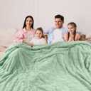 Bcareself Faux Fur Throw Blanket Ultra Soft Plush Fluffy Blanket for Couch, Bed, Sofa - Lightweight Yet Warm Winter Blanket for Women Men - Machine Washable Valentine Gifts 50x60 Inches Sage Green