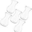 Uonlytech 5Pcs Hydroponic Glass Vases Centerpiece Containers for Desktop Indoor Plants Home Office Decoration Transparent Flower Jars for Hyacinth and Greenery