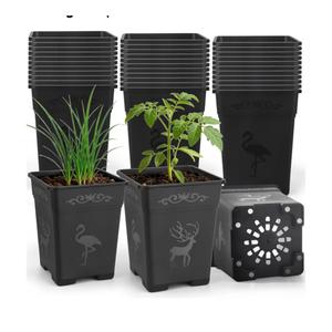 36 Pack 5.5 Inch Square Nursery Pots, Plastic Flower Pots with Drainage, Plant Pots for Plants, Reusable Planting Pots Planter for Seedlings, Transplanting & Indoor Use